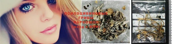 СК Строитель