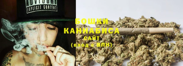 прущая мука Елабуга