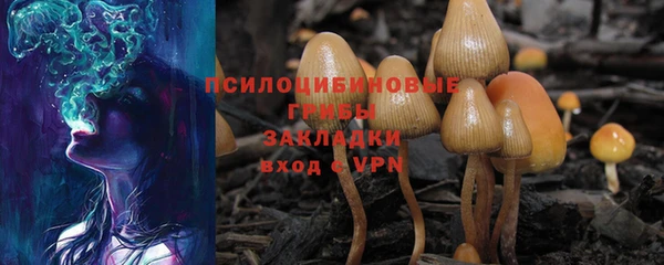 прущая мука Елабуга