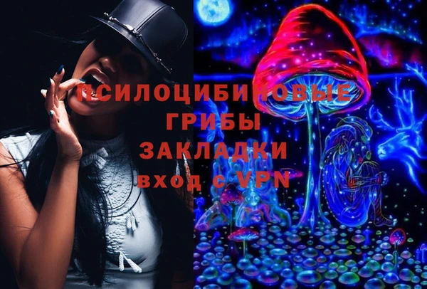 MDMA Ельня