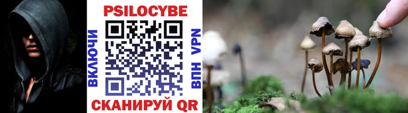 Псилоцибиновые грибы Magic Shrooms  купить наркоту  Сенгилей 